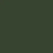 RAL-6020 Chrome Green